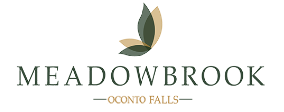 Oconto Falls logo
